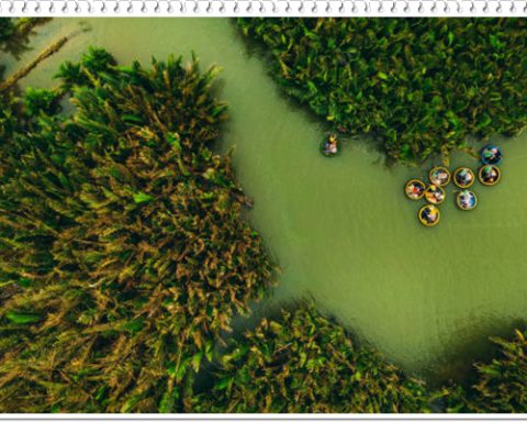 Aerial view on tourists going on colorful round boat tour on lagoon in palm forest famous destination near Hoi An ancient, Vietnam