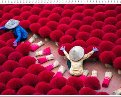 Drying incense stick in vietnam